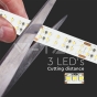 Tira LED 30W 360 LEDs IP20 4000K, rollo de 5m - 7