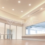 Downlight de LED 40W COB A++ 120lm/W 4500K - 12